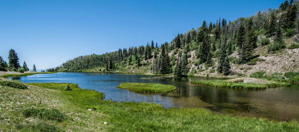 Canjilon Lakes, Jim O'Donnell